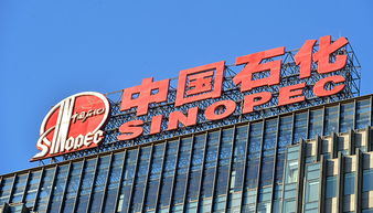 A股77家公司上半年獲政府補貼過億，中國石化成“補貼王”