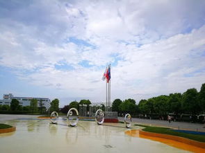 安琪發酵營養元 引領輕工行業健康新趨勢