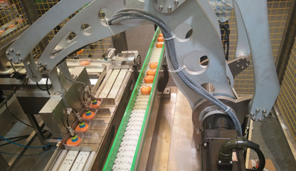 輕工業(yè)營收突破16萬億，驅(qū)動食品機(jī)械行業(yè)邁向高質(zhì)量發(fā)展