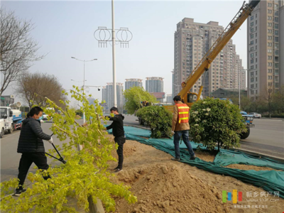 新鄉(xiāng)投資5845萬元 對市區(qū)道路進(jìn)行綠化改造