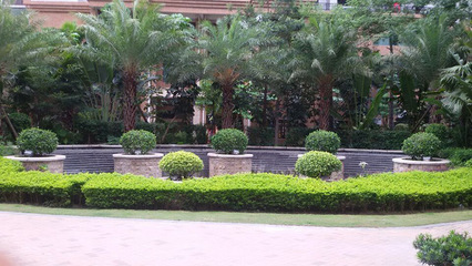 廣州地產(chǎn)綠化工程施工公司價格多少錢_佛嶺景觀