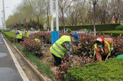 4月份園林綠化養(yǎng)護要點及病蟲害防治措施