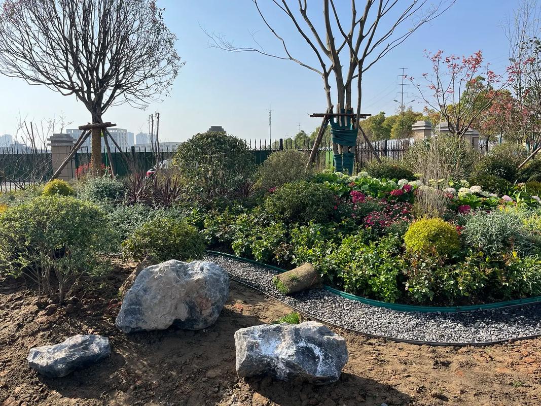 園林綠化工程 #施工現場實拍