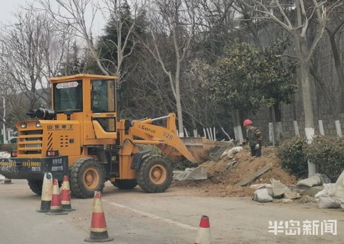 青島市區園林綠化工程有序復工，施工人員忙碌建設美麗家園