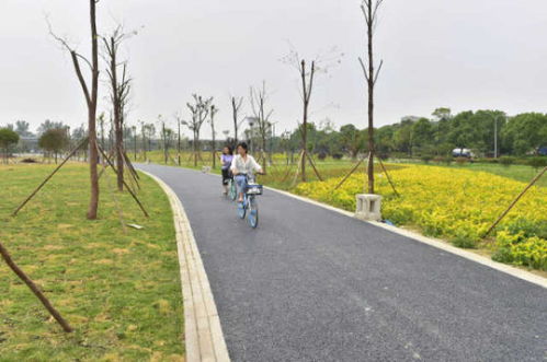 綿陽再添綠色新名片 大型公園試開園，園林綠化工程圓滿竣工