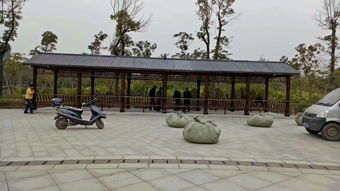 生態(tài)木花架與體育場地設(shè)施工程施工 價(jià)格、耐用性與施工指南